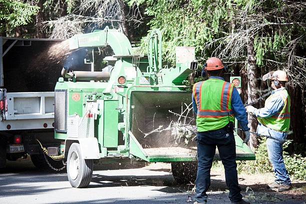  , USA Tree Services Pros